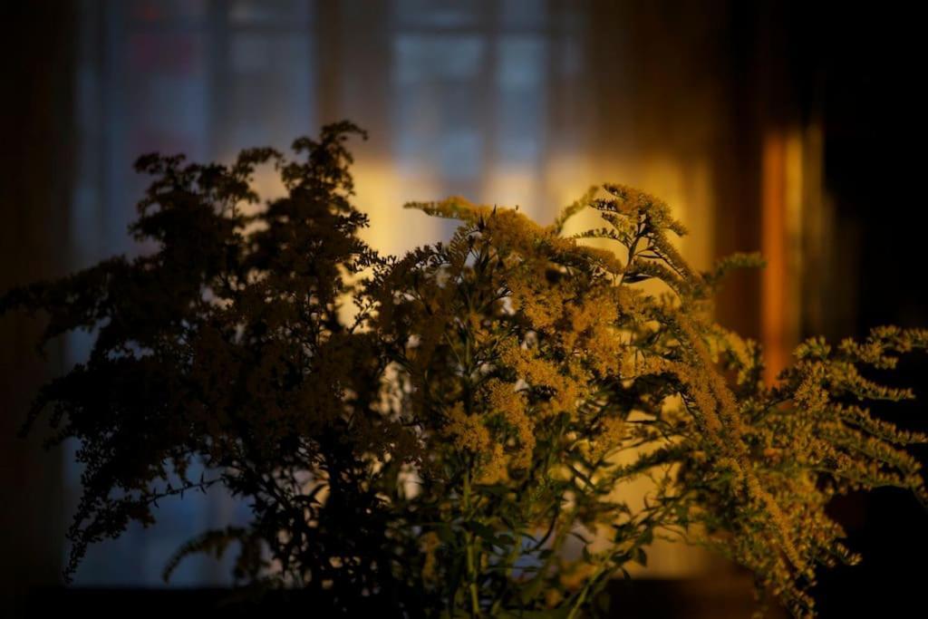 Le Nid De Rochefort Dış mekan fotoğraf